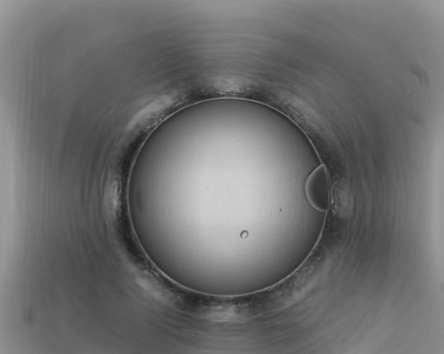 X0000113220740200909171554