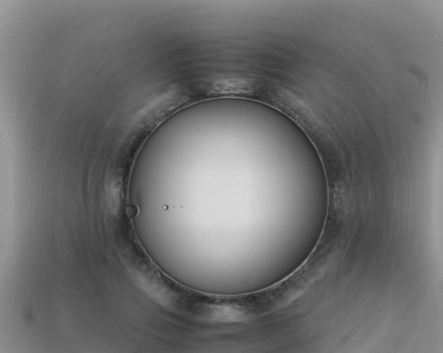 X0000113220741200909171554