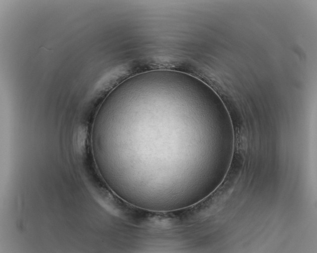 X0000113220742200909171554