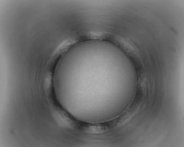 X0000113220744200909171554