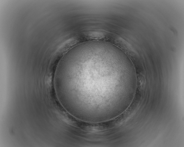 X0000113220745200909171554