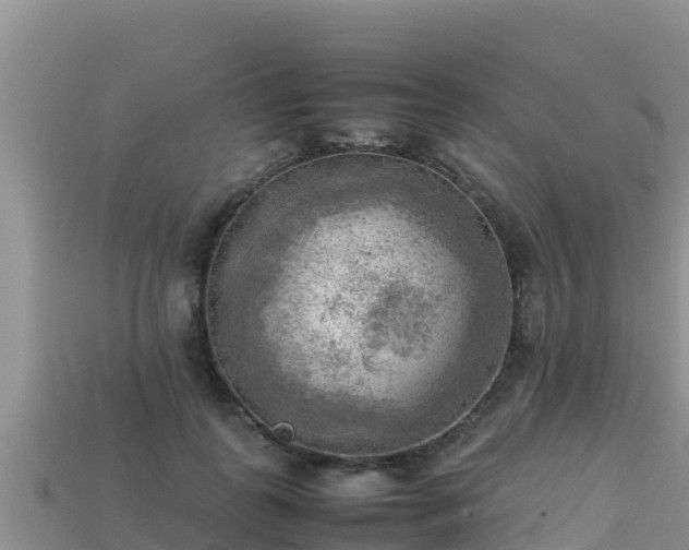 X0000113220747200909171554