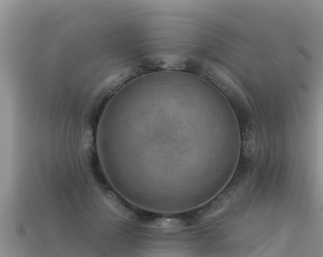 X0000113220748200909171554