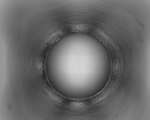 X0000113220749200909171554