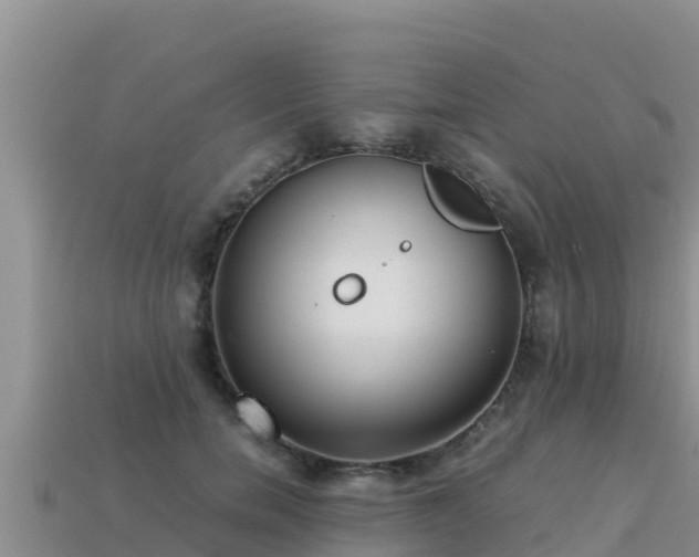 X0000113220750200909171554