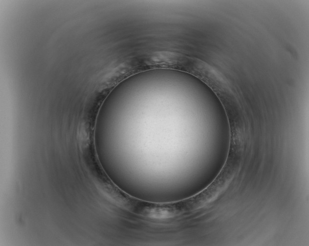 X0000113220751200909171554