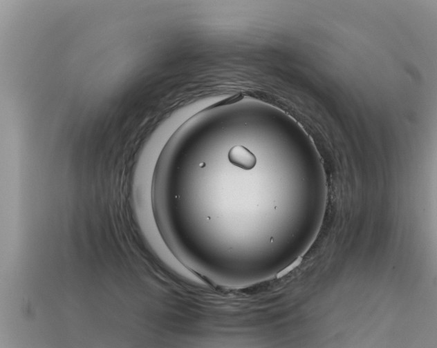 X0000113220752200909171554