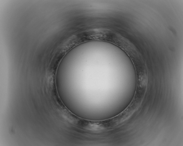 X0000113220753200909171554