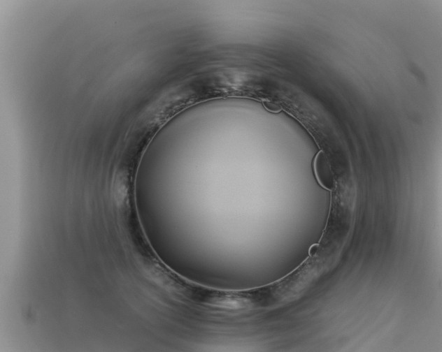 X0000113220754200909171554