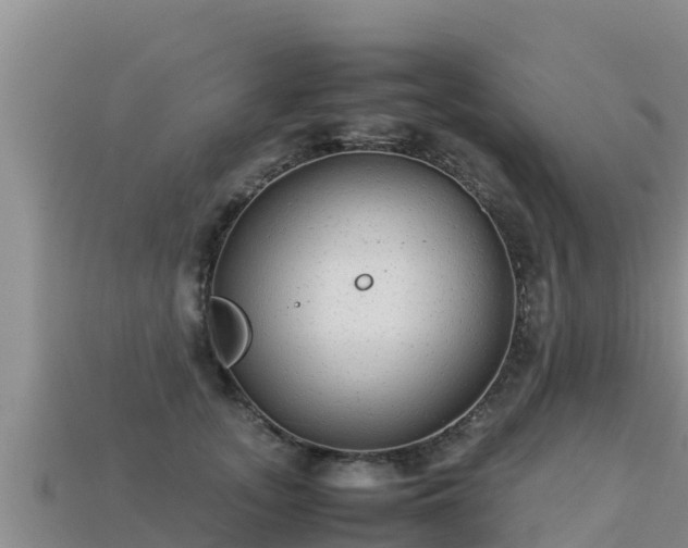 X0000113220755200909171554