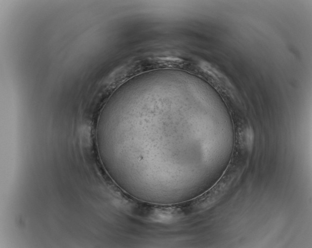 X0000113220757200909171555