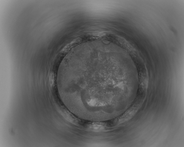 X0000113220758200909171555