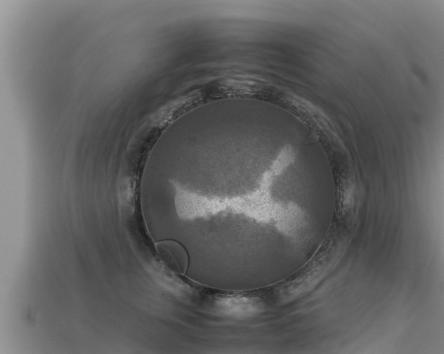 X0000113220759200909171555