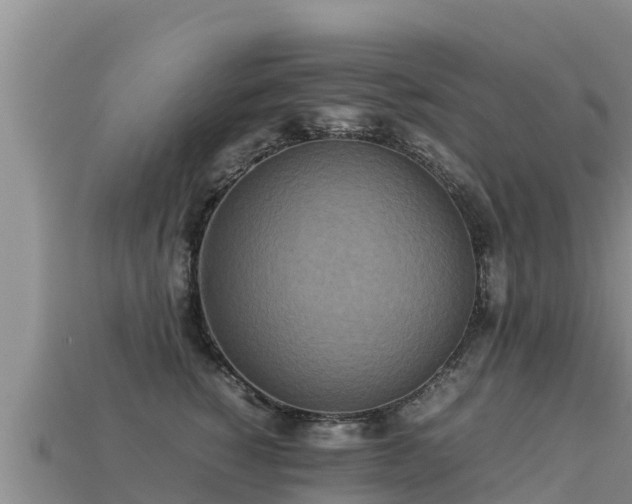 X0000113220760200909171555