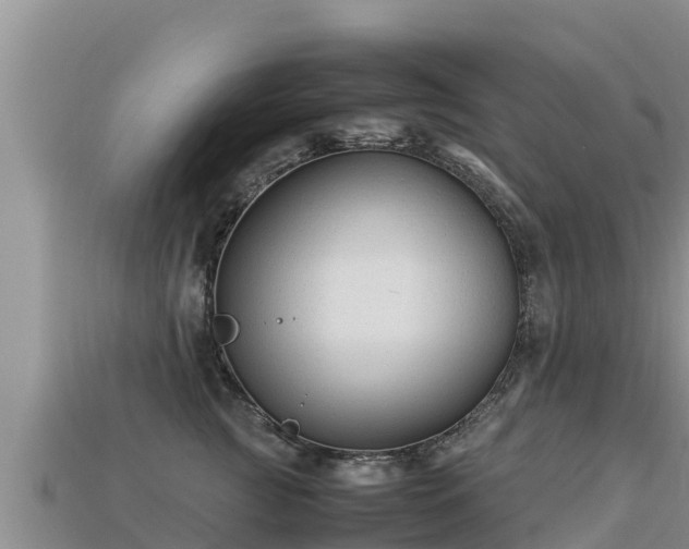 X0000113220761200909171555