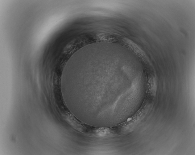 X0000113220762200909171555