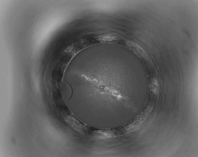 X0000113220763200909171555