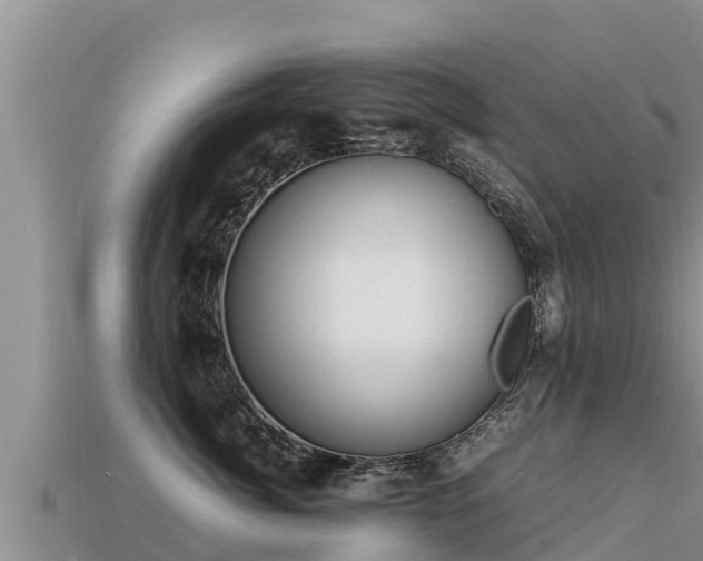 X0000113220764200909171555