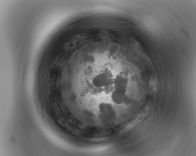 X0000113220765200909171555