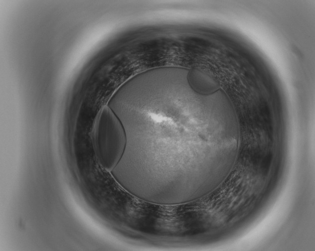 X0000113220766200909171555