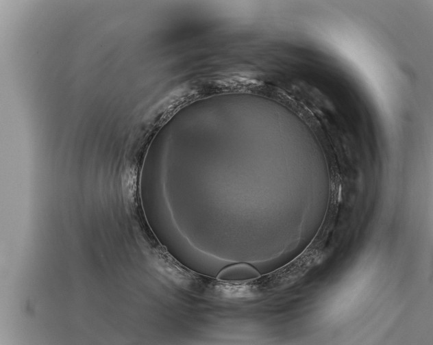 X0000113220767200909171555