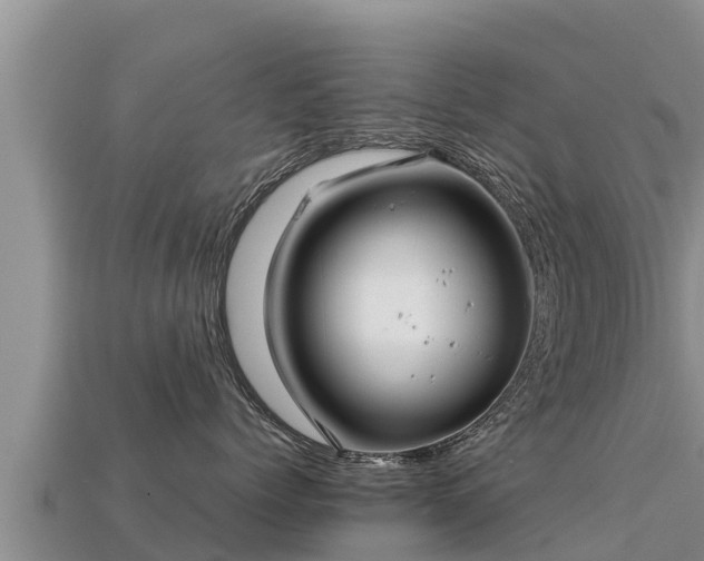 X0000113220768200909171555