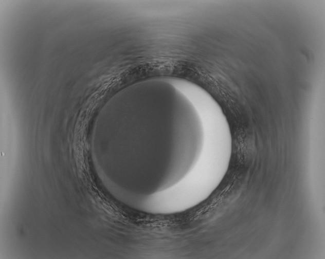 X0000113220769200909171554