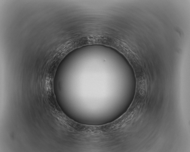 X0000113220770200909171554