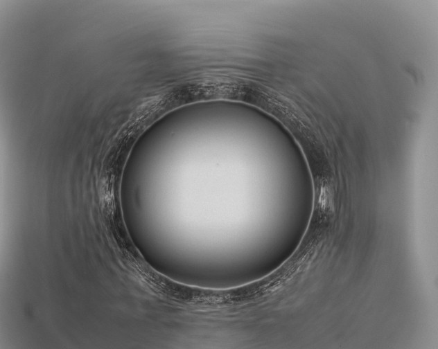 X0000113220771200909171554