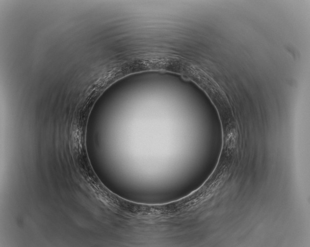 X0000113220772200909171554