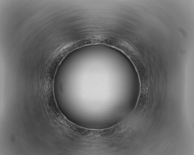 X0000113220773200909171554