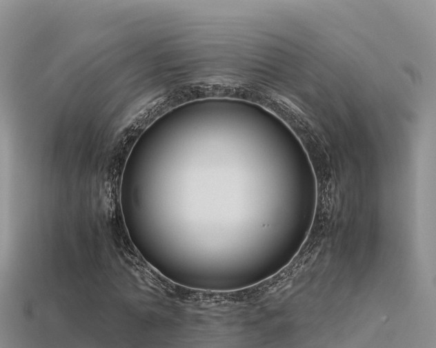 X0000113220774200909171554