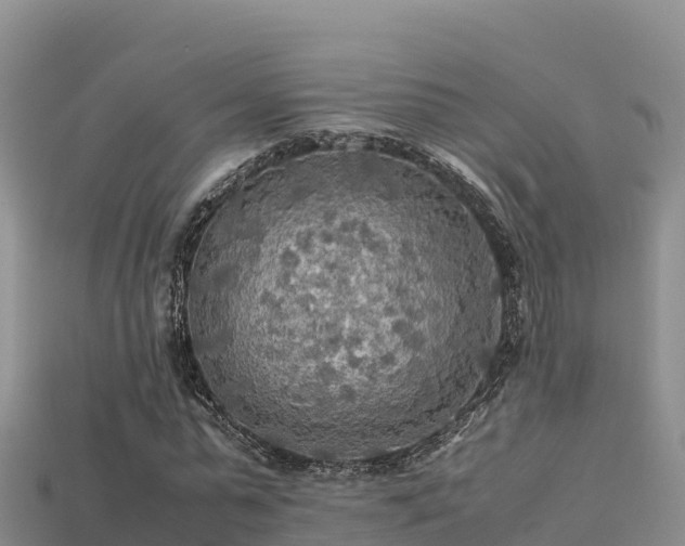 X0000113220775200909171554