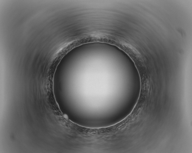 X0000113220776200909171554