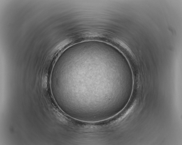 X0000113220777200909171554