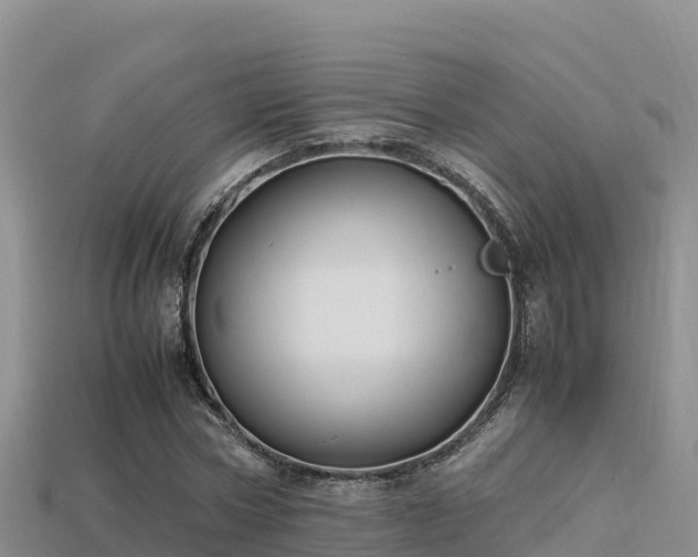 X0000113220778200909171554