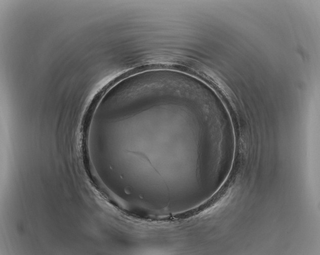 X0000113220779200909171554