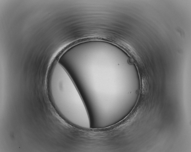 X0000113220780200909171554