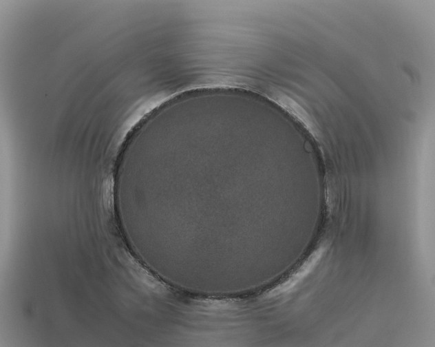 X0000113220781200909171554