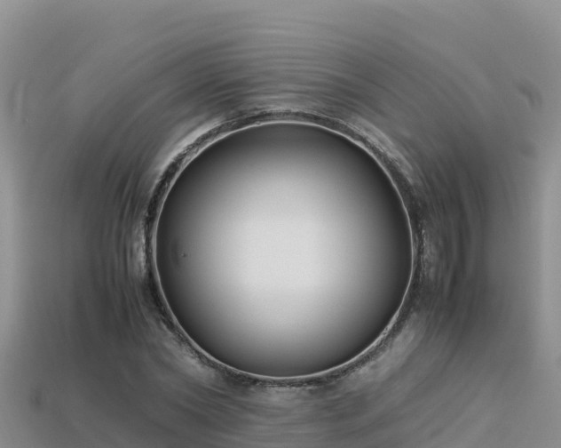 X0000113220782200909171554