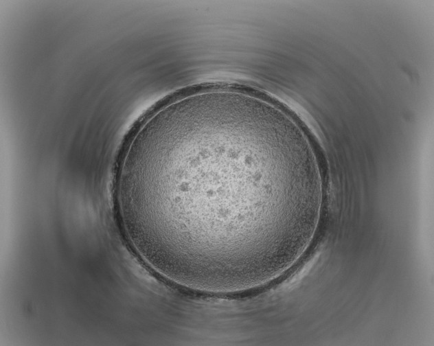 X0000113220783200909171554