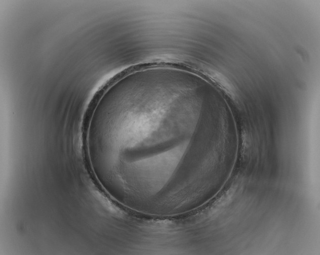 X0000113220784200909171554