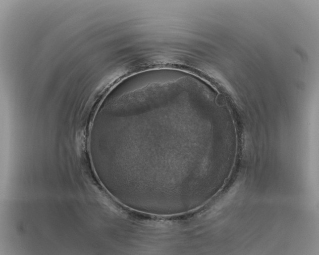 X0000113220785200909171554