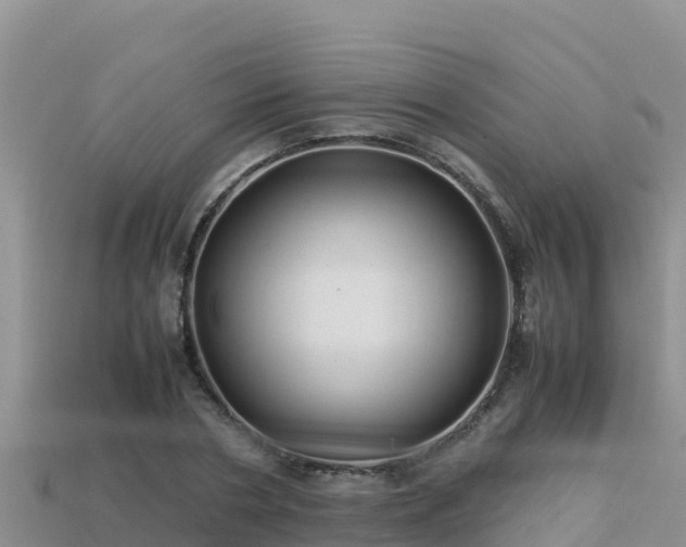 X0000113220786200909171554