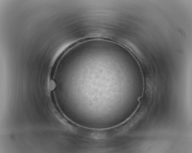 X0000113220788200909171554