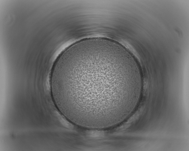 X0000113220789200909171554