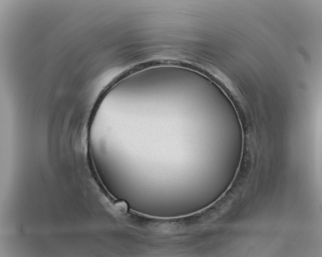 X0000113220791200909171554