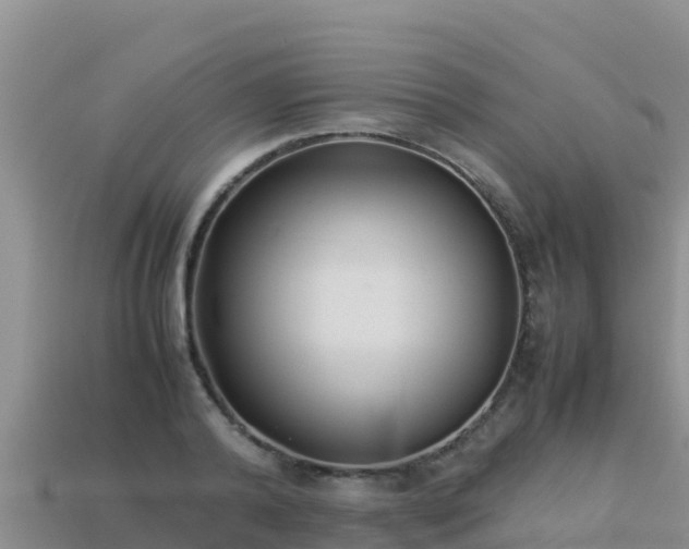 X0000113220792200909171554