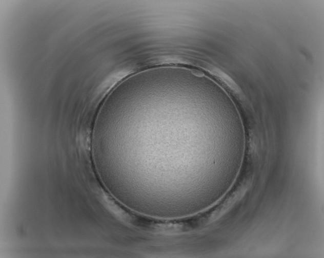 X0000113220793200909171554