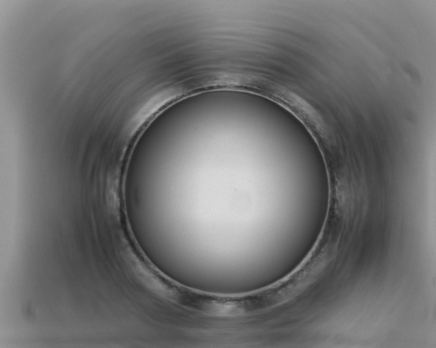 X0000113220794200909171554